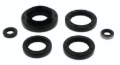 Picture of QuadBoss Oil Seal Set