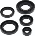 Picture of QuadBoss Oil Seal Set