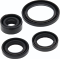 Picture of QuadBoss Oil Seal Set