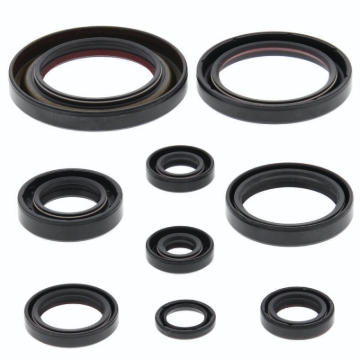 Picture of QuadBoss 06-14 Honda TRX450ER Oil Seal Set