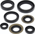 Picture of QuadBoss Oil Seal Set