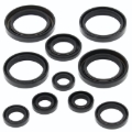 Picture of QuadBoss Oil Seal Set