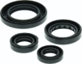 Picture of QuadBoss Oil Seal Set