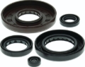 Picture of QuadBoss Gasket Set With Oil Seal