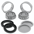 Picture of QuadBoss 06-09 Arctic Cat 250 2x4 Swingarm Repair Kit