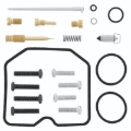 Picture of QuadBoss Carburetor Kits