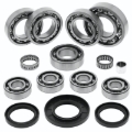 Picture of QuadBoss Transaxle Bearing Kit