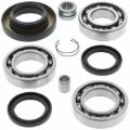 Picture of QuadBoss 02-03 Honda TRX400FW FourTrax Foreman 4x4 Rear Differential Bearing & Seal Kit