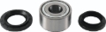 Picture of QuadBoss QBS Wheel Bearings - 415209