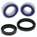 Picture of QuadBoss QBS Wheel Bearings - 413981