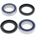 Picture of QuadBoss QBS Wheel Bearings - 413351