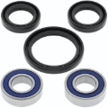 Picture of QuadBoss QBS Wheel Bearings - 413301