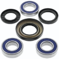 Picture of QuadBoss QBS Wheel Bearings - 413293