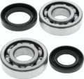 Picture of QuadBoss Crankshaft Bearing Kit