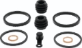 Picture of QuadBoss Caliper Rebuild Kit