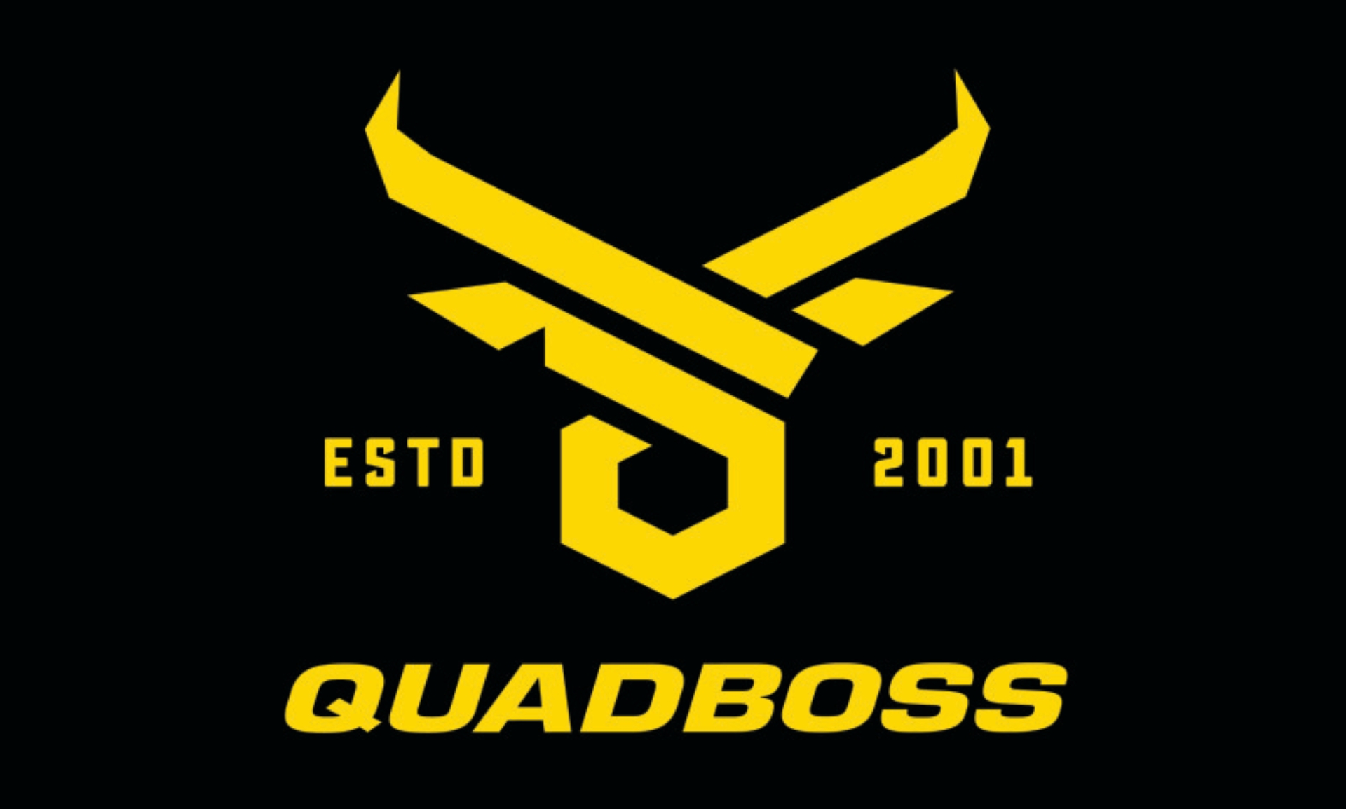 Picture of Quadboss 3x5 Pole Flag