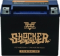 Picture of Twin Power YTX-20HL Shocker Gel Battery Replaces H-D 65989-97A 310 CCA