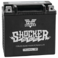 Picture of Twin Power YTX-14L Shocker Battery Replaces H-D 65958-04 220 CCA