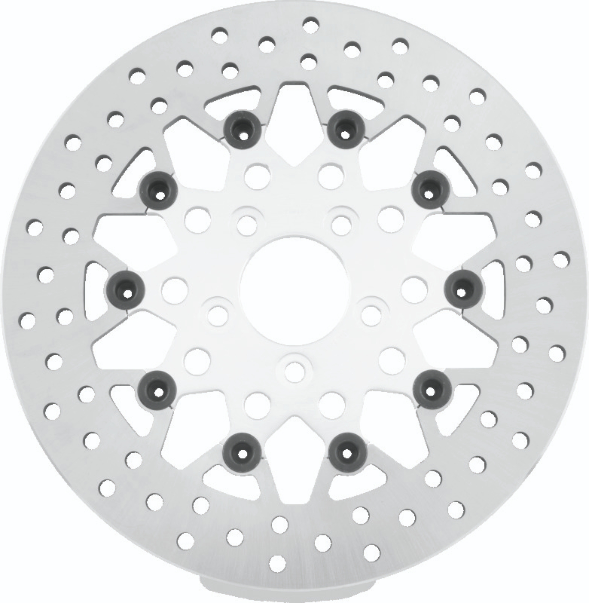 Picture of Twin Power 08-Up FLH FLT Rear 11.8in Floating Rotor Mesh Silver
