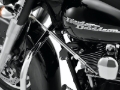 Picture of Twin Power 00-08 FLH FLT Satin Steering Damper Kit