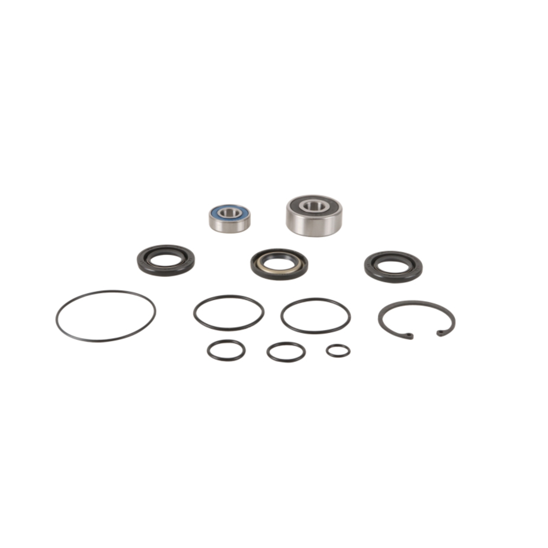 Picture of All Balls Racing Jet Pump Rebuild Kit