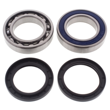 Picture of All Balls Racing 2021 Arctic Cat Blast 4000 Drive Shaft Bearing & Seal Kit Lower Shaft - Track