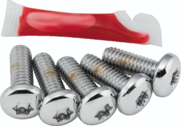 Picture of Performance Machine Rotor Bolt Set - Chrome