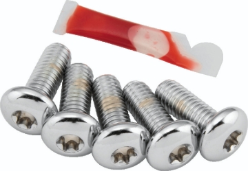 Picture of Performance Machine Rotor Bolt Set - Chrome