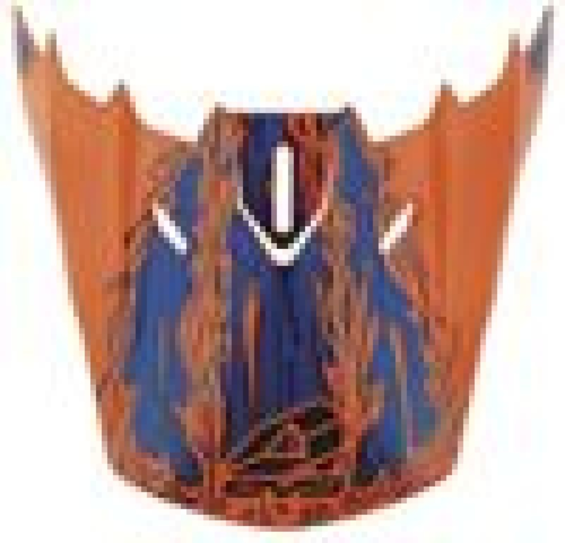 Picture of EVS T5 Egon Visor - Orange