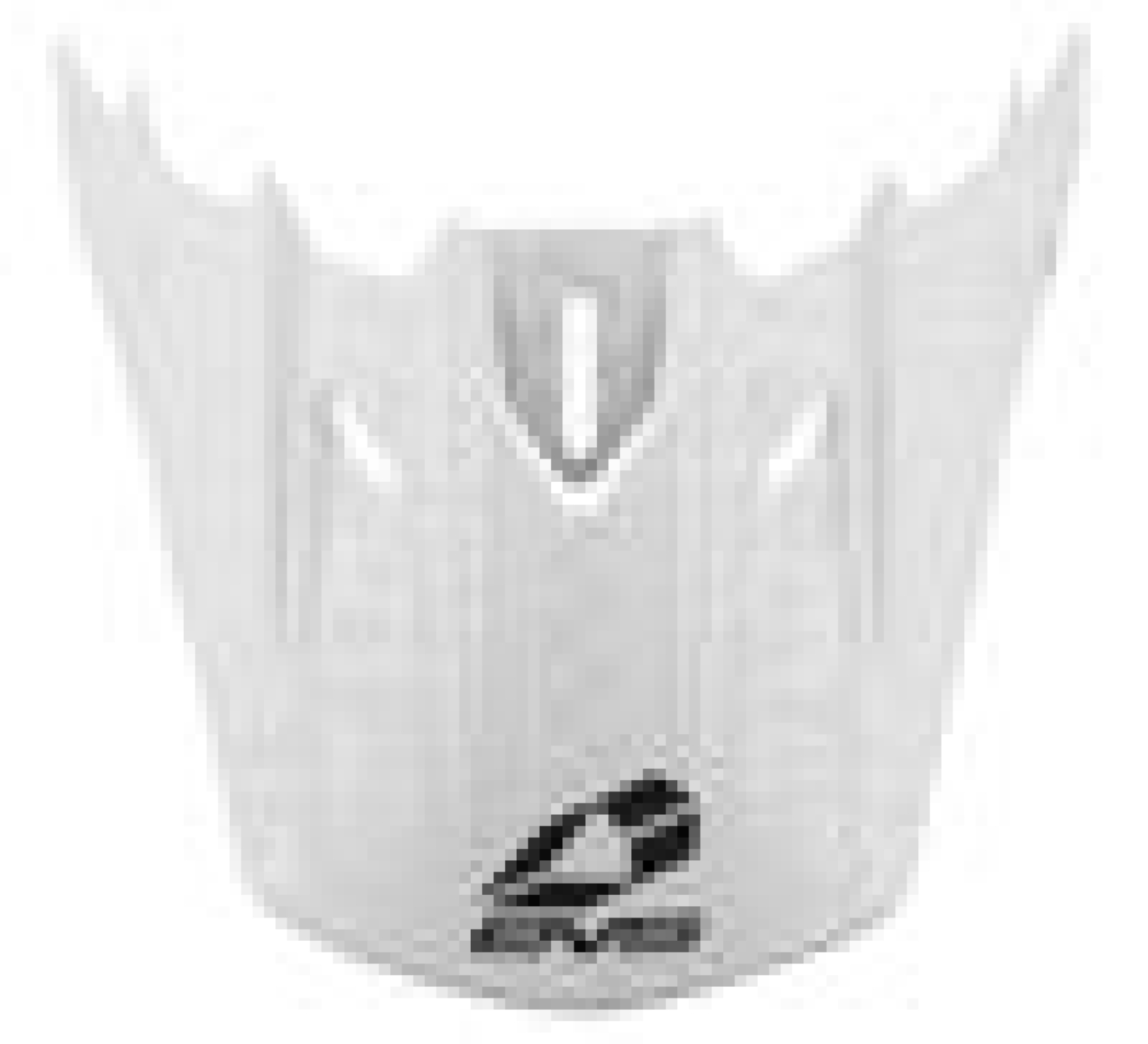 Picture of EVS T5 Evilution Visor - White