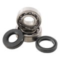Picture of Hot Rods 93-01 YZ 80 Main Bearing & Seal Kit