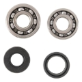 Picture of Hot Rods 93-01 YZ 80 Main Bearing & Seal Kit