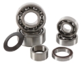 Picture of Hot Rods HDS Transmission Bearing Kit - TBK0001