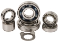 Picture of Hot Rods 01-05 YFM 660 R Raptor Transmission Bearing Kit