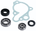 Picture of Hot Rods HDS Water Pump Kit - WPK0008