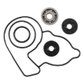 Picture of Hot Rods HDS Water Pump Kit - WPK0036