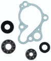 Picture of Hot Rods HDS Water Pump Kit - WPK0008