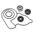 Picture of Hot Rods HDS Water Pump Kit - WPK0036