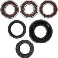 Picture of Pivot Works Premium Wheel Bearing