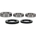 Picture of Pivot Works Premium Wheel Bearing