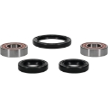 Picture of Pivot Works Premium Wheel Bearing