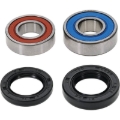 Picture of Pivot Works Premium Wheel Bearing