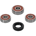 Picture of Pivot Works Premium Wheel Bearing