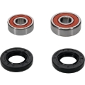Picture of Pivot Works Premium Wheel Bearing