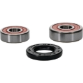 Picture of Pivot Works Premium Wheel Bearing