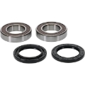 Picture of Pivot Works Premium Wheel Bearing