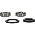 Picture of Pivot Works Premium Wheel Bearing
