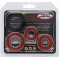 Picture of Pivot Works Premium Wheel Bearing