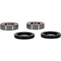 Picture of Pivot Works Premium Wheel Bearing