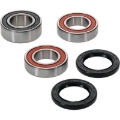 Picture of Pivot Works Premium Wheel Bearing